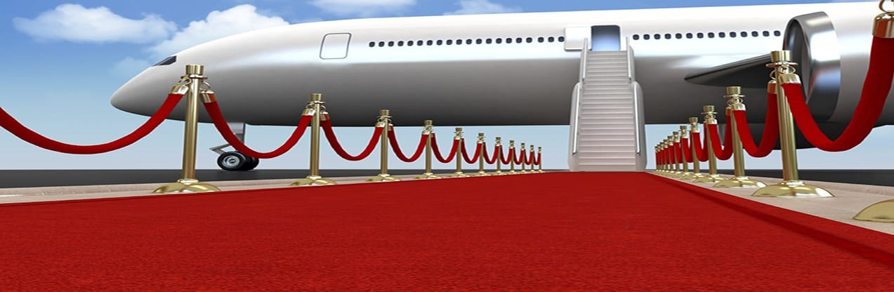 vipas karşılama sistemi