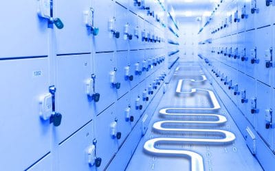 Adli Emanet Yönetimi